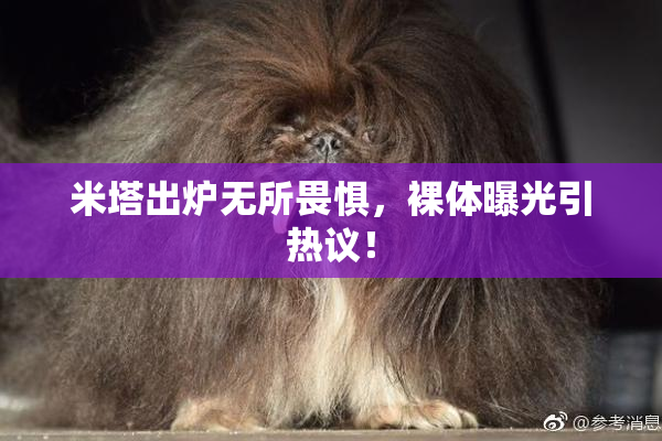 米塔出炉无所畏惧，裸体曝光引热议！