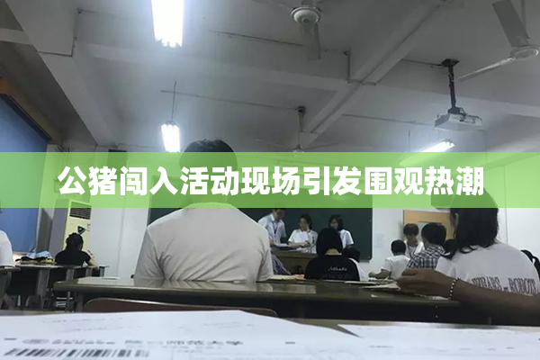 公猪闯入活动现场引发围观热潮