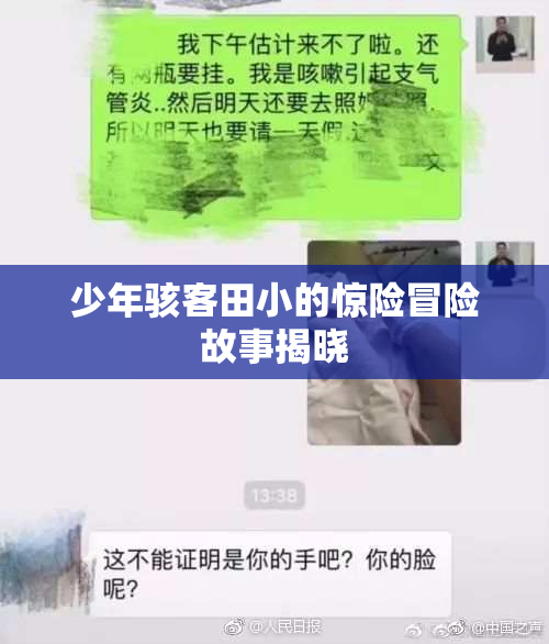少年骇客田小的惊险冒险故事揭晓