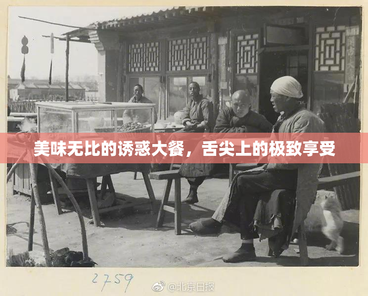 美味无比的诱惑大餐，舌尖上的极致享受