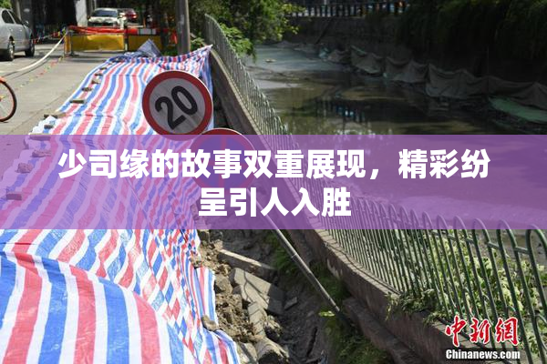 少司缘的故事双重展现，精彩纷呈引人入胜