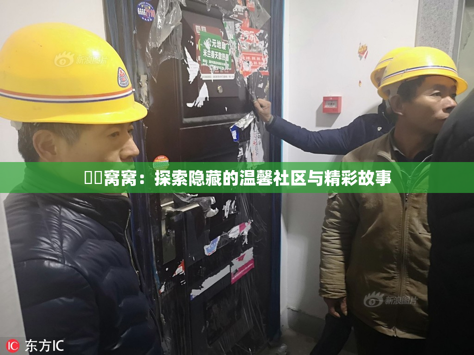妺妺窝窝：探索隐藏的温馨社区与精彩故事
