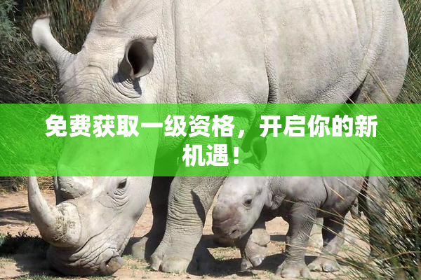 免费获取一级资格，开启你的新机遇！