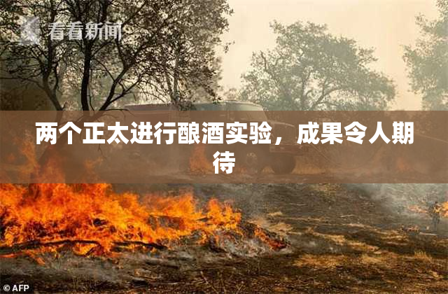 两个正太进行酿酒实验，成果令人期待