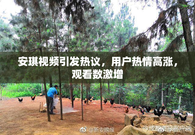 安琪视频引发热议，用户热情高涨，观看数激增