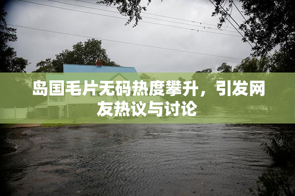 岛国毛片无码热度攀升，引发网友热议与讨论