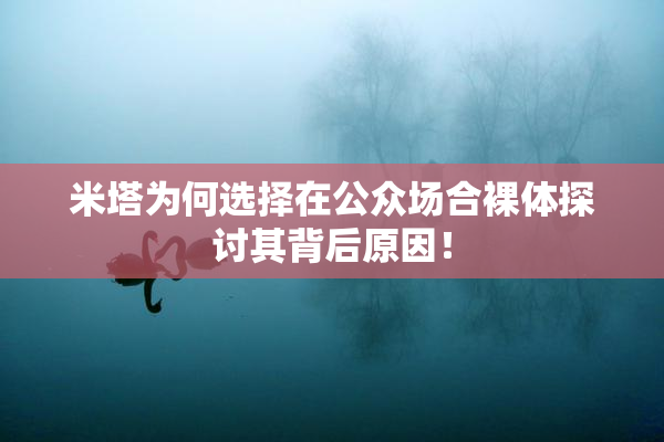 米塔为何选择在公众场合裸体探讨其背后原因！