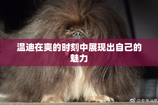 温迪在爽的时刻中展现出自己的魅力