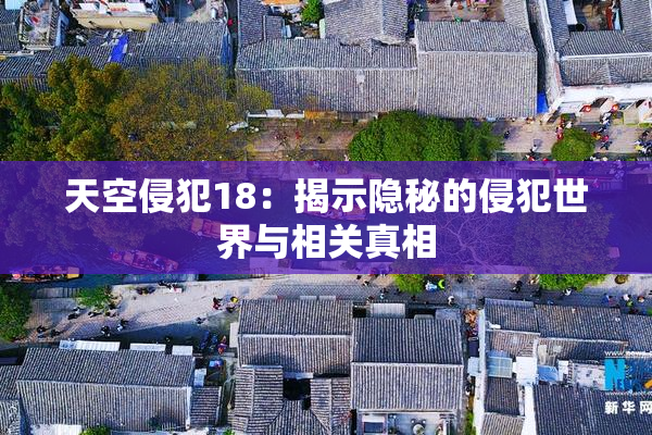 天空侵犯18：揭示隐秘的侵犯世界与相关真相