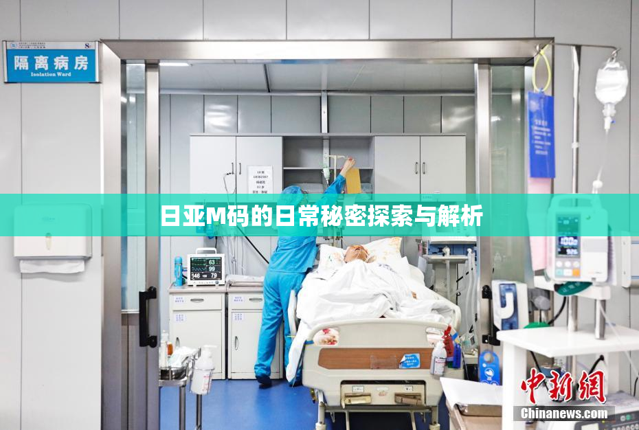 日亚M码的日常秘密探索与解析