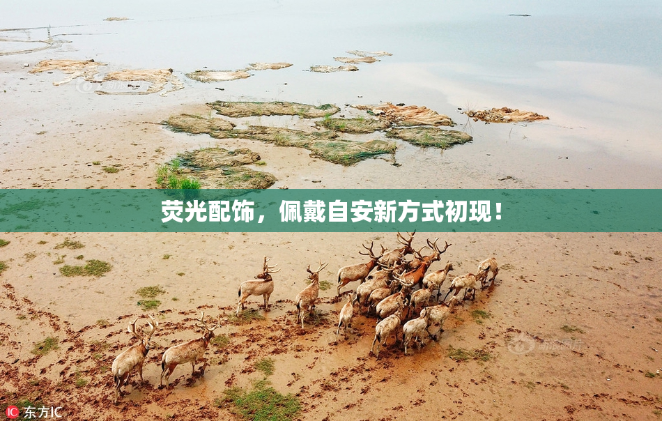 荧光配饰，佩戴自安新方式初现！