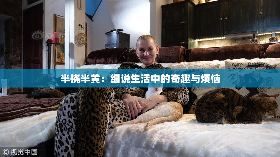 半挠半黄：细说生活中的奇趣与烦恼