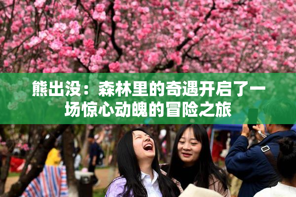 熊出没：森林里的奇遇开启了一场惊心动魄的冒险之旅