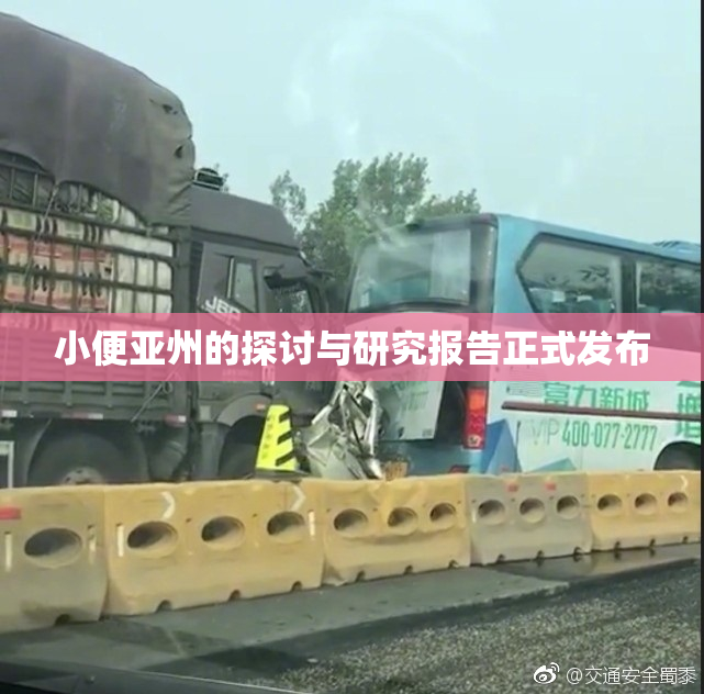 小便亚州的探讨与研究报告正式发布
