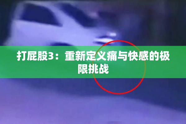 打屁股3：重新定义痛与快感的极限挑战