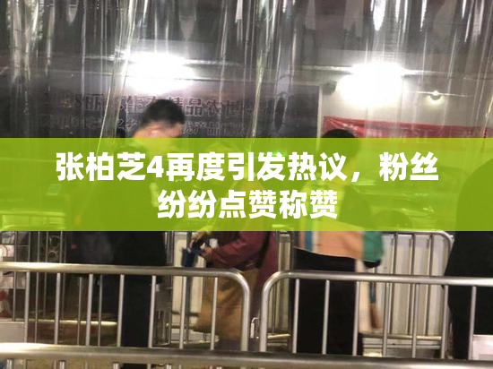 张柏芝4再度引发热议，粉丝纷纷点赞称赞