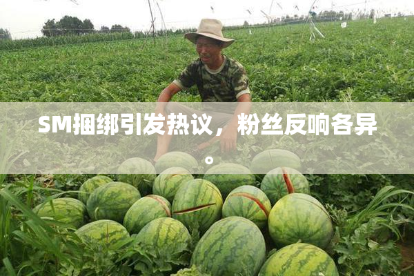 SM捆绑引发热议，粉丝反响各异。