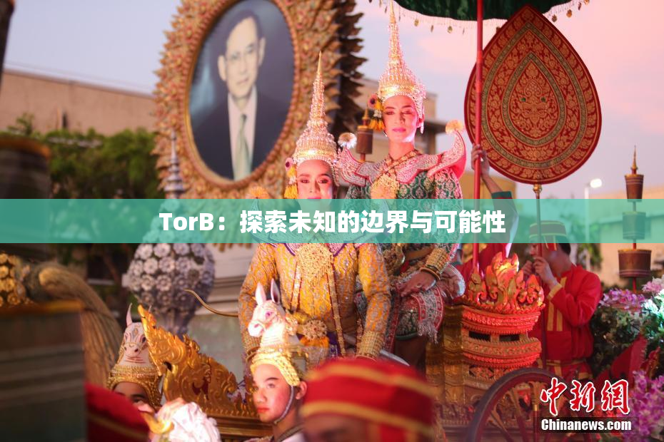 TorB：探索未知的边界与可能性