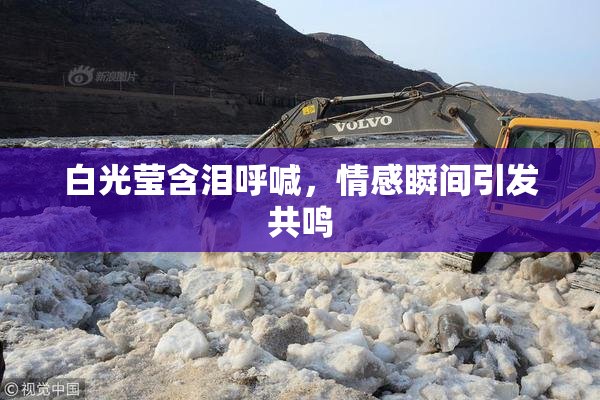白光莹含泪呼喊，情感瞬间引发共鸣