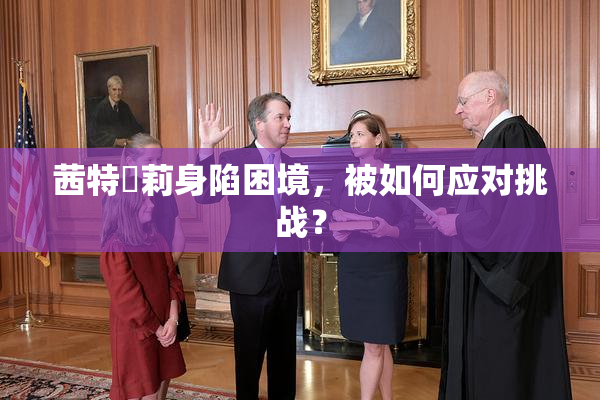 茜特菈莉身陷困境，被如何应对挑战？