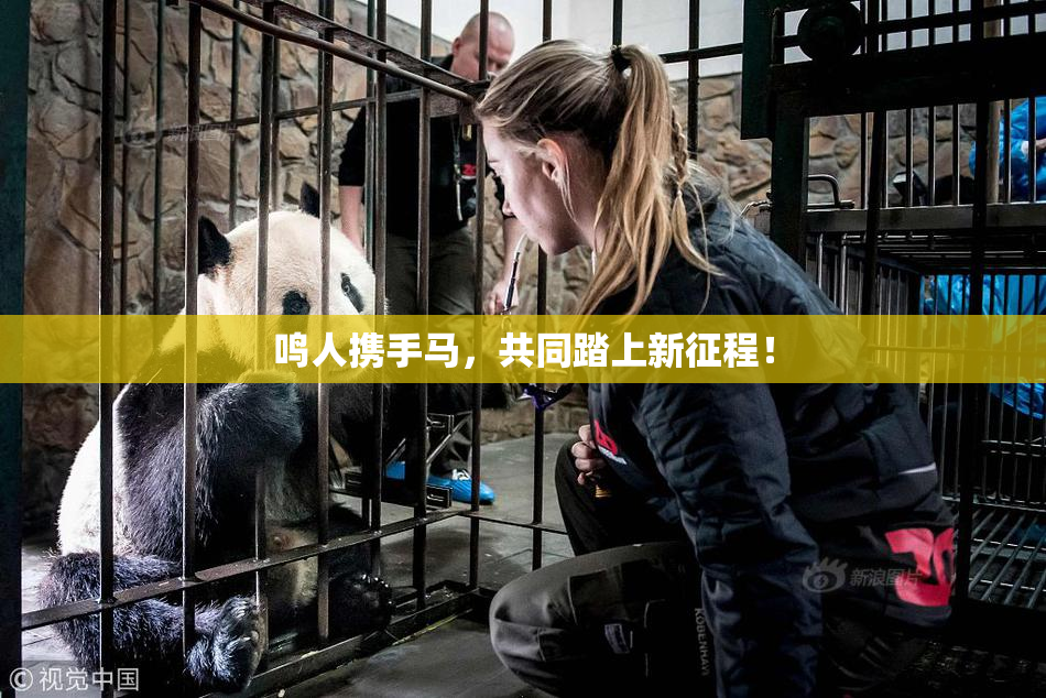 鸣人携手马，共同踏上新征程！