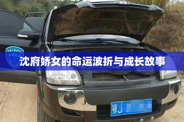 沈府娇女的命运波折与成长故事