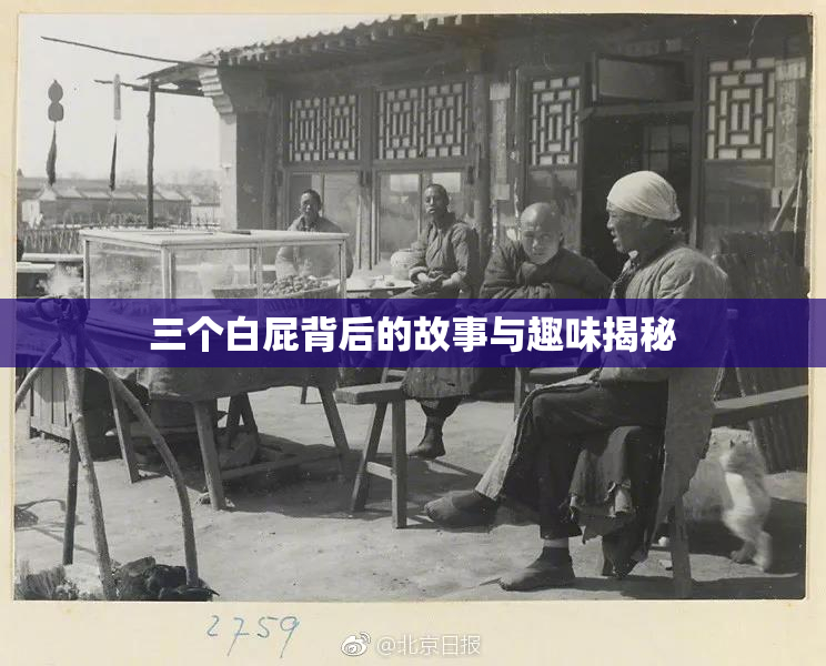 三个白屁背后的故事与趣味揭秘