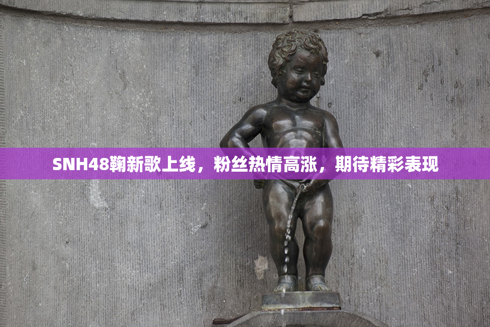 SNH48鞠新歌上线，粉丝热情高涨，期待精彩表现