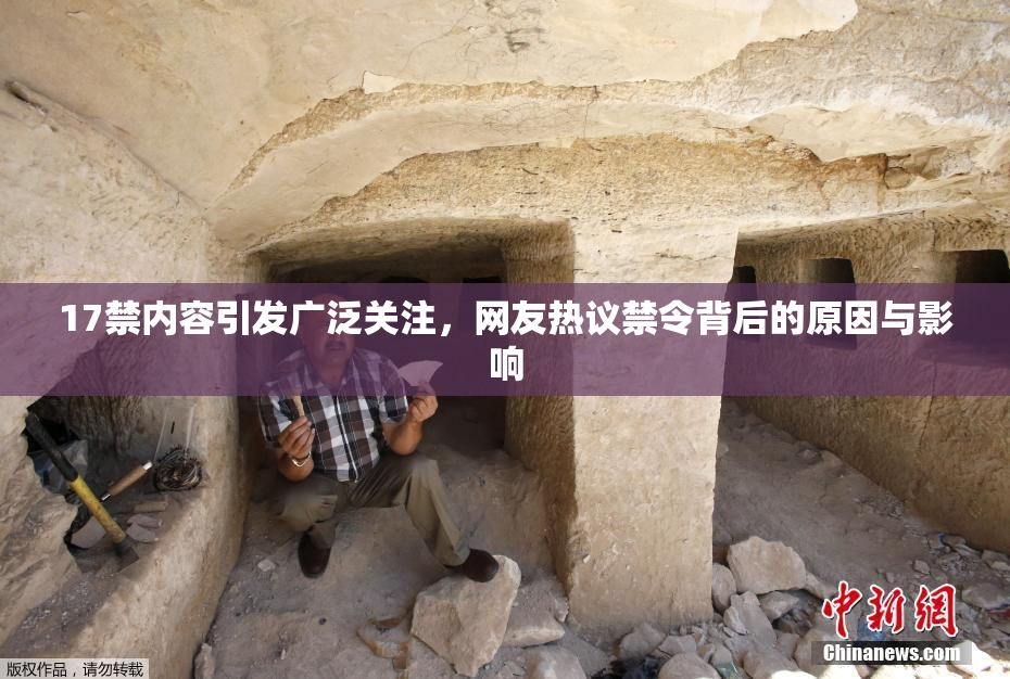 17禁内容引发广泛关注，网友热议禁令背后的原因与影响