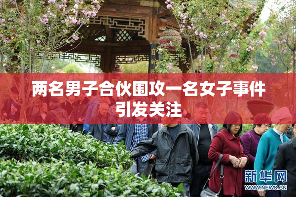 两名男子合伙围攻一名女子事件引发关注