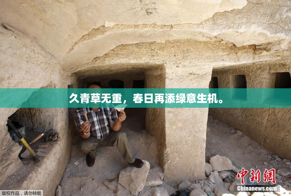 久青草无重，春日再添绿意生机。