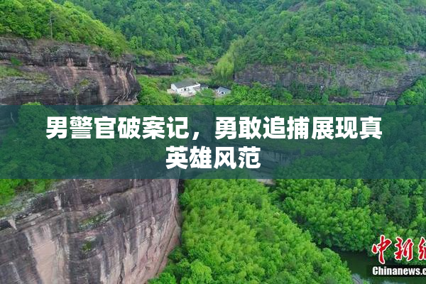 男警官破案记，勇敢追捕展现真英雄风范