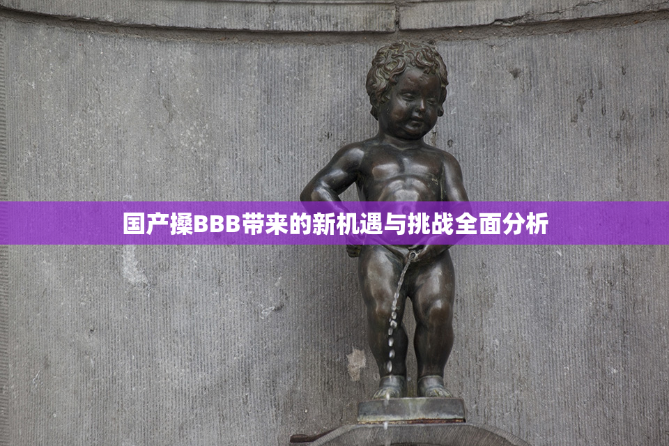 国产搡BBB带来的新机遇与挑战全面分析