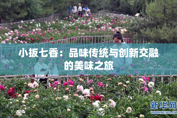 小扳七香：品味传统与创新交融的美味之旅