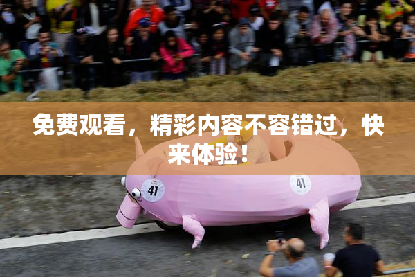 免费观看，精彩内容不容错过，快来体验！