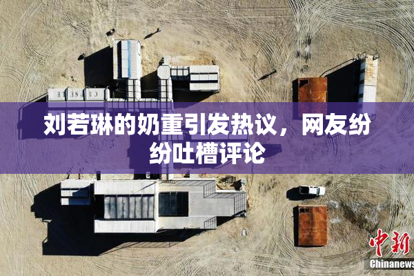 刘若琳的奶重引发热议，网友纷纷吐槽评论