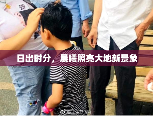 日出时分，晨曦照亮大地新景象