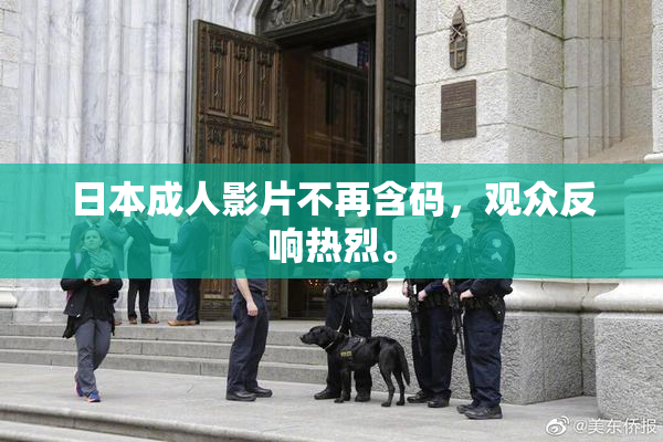 日本成人影片不再含码，观众反响热烈。