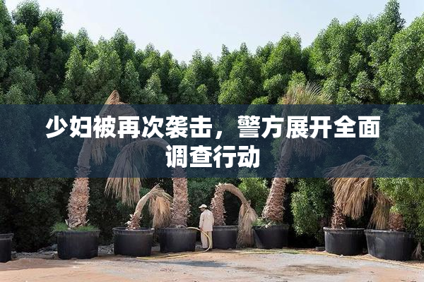 少妇被再次袭击，警方展开全面调查行动