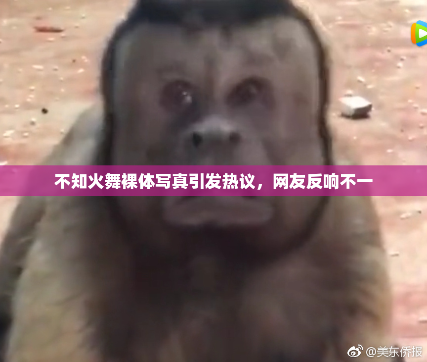 不知火舞裸体写真引发热议，网友反响不一