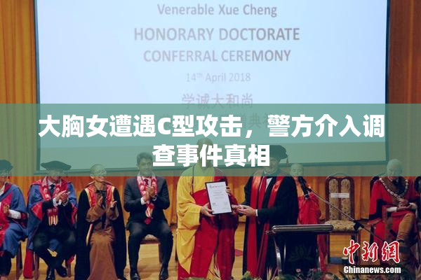 大胸女遭遇C型攻击，警方介入调查事件真相