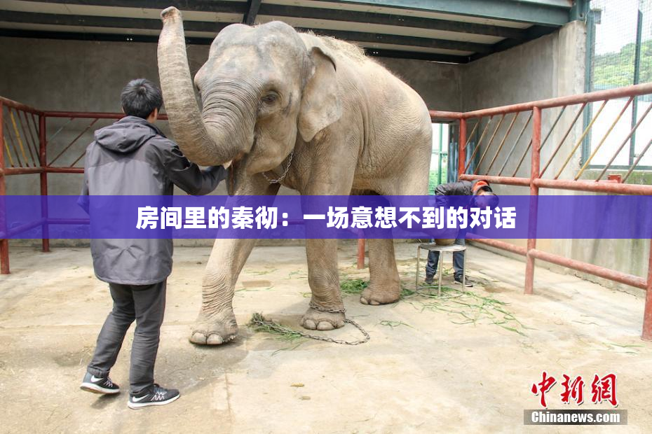 房间里的秦彻：一场意想不到的对话