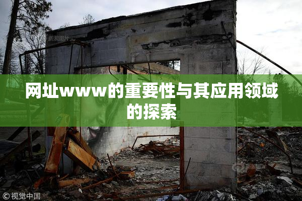 网址www的重要性与其应用领域的探索