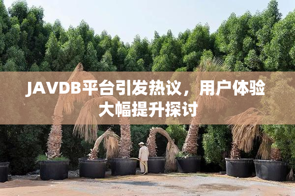 JAVDB平台引发热议，用户体验大幅提升探讨