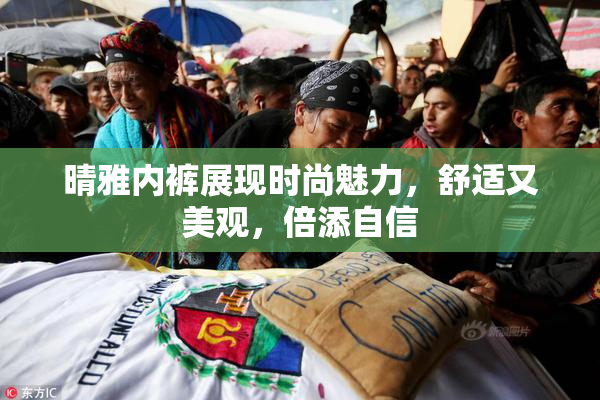 晴雅内裤展现时尚魅力，舒适又美观，倍添自信