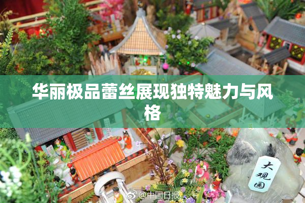 华丽极品蕾丝展现独特魅力与风格