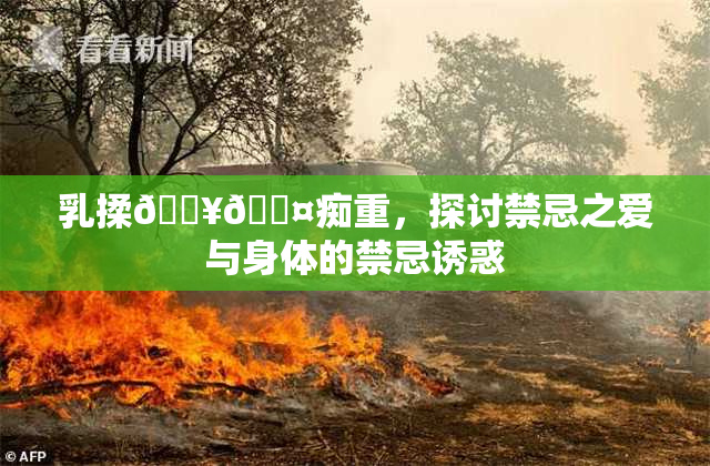 乳揉🔥🖤痴重，探讨禁忌之爱与身体的禁忌诱惑