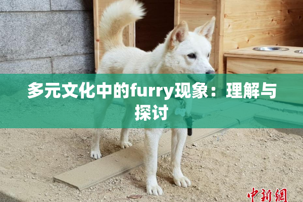 多元文化中的furry现象：理解与探讨