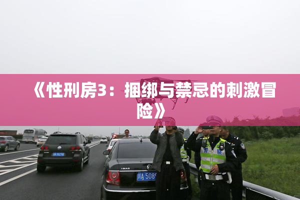 《性刑房3：捆绑与禁忌的刺激冒险》