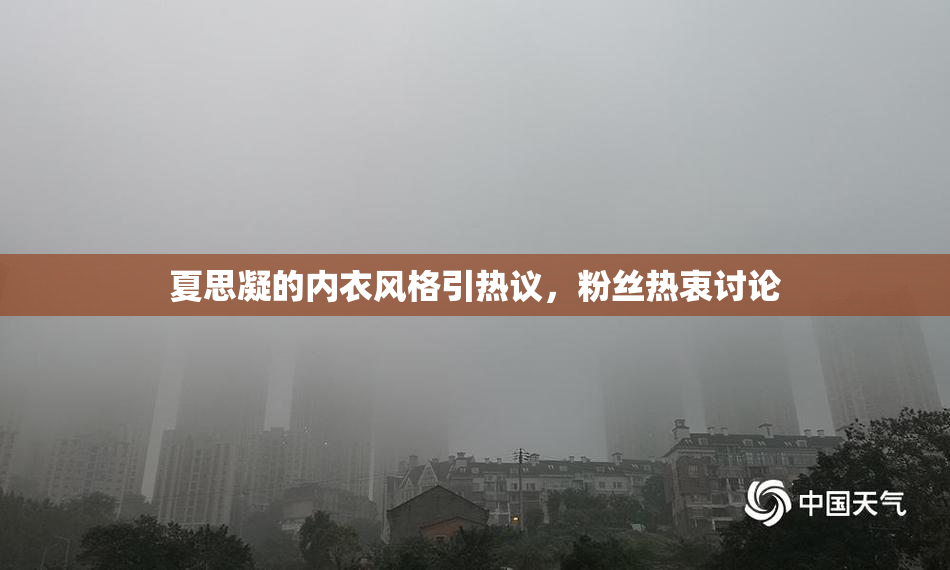 夏思凝的内衣风格引热议，粉丝热衷讨论